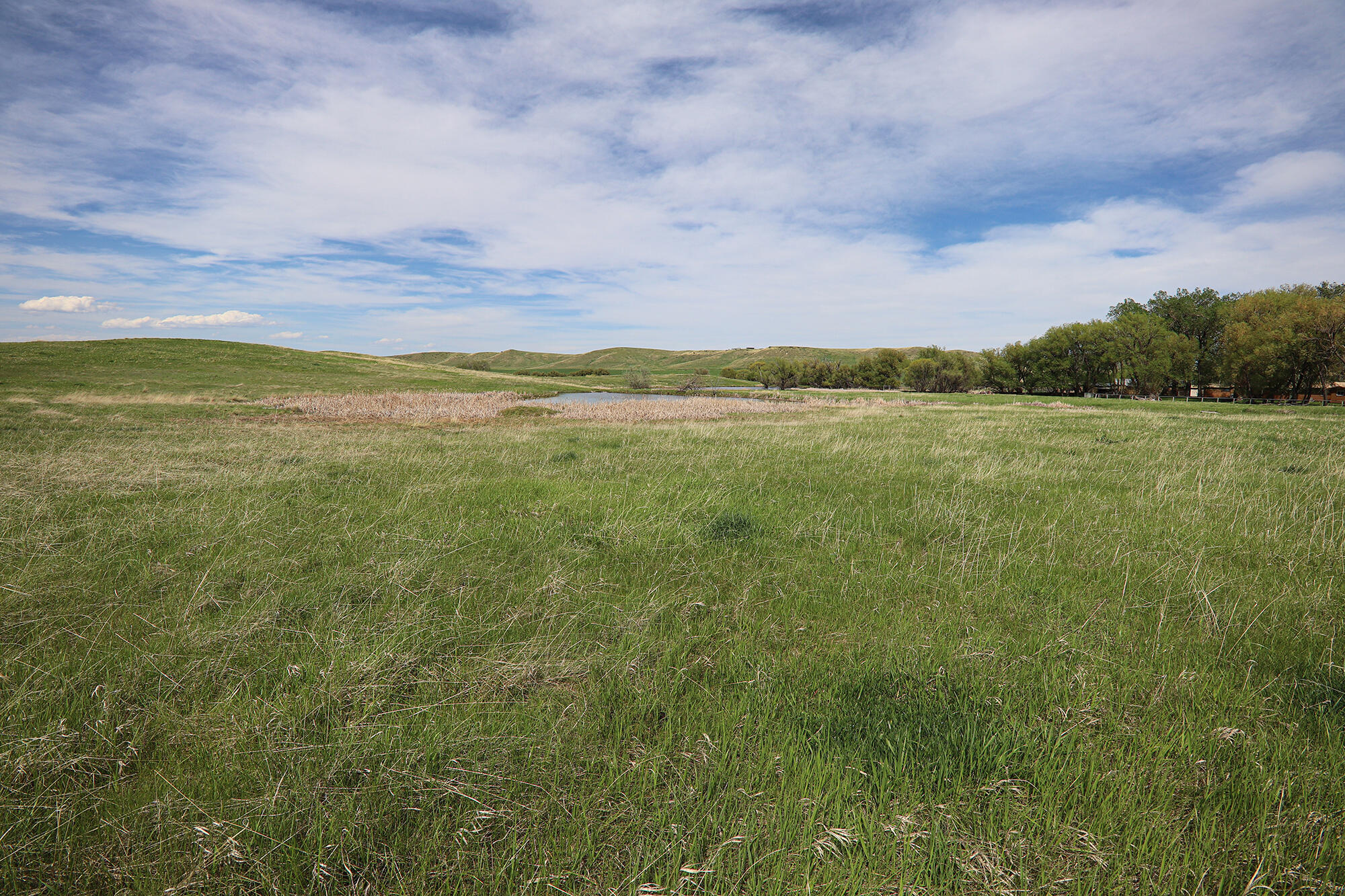 183185 Bird Farm Road Sheridan, WY 82833 - Photo 73 of 82 e.