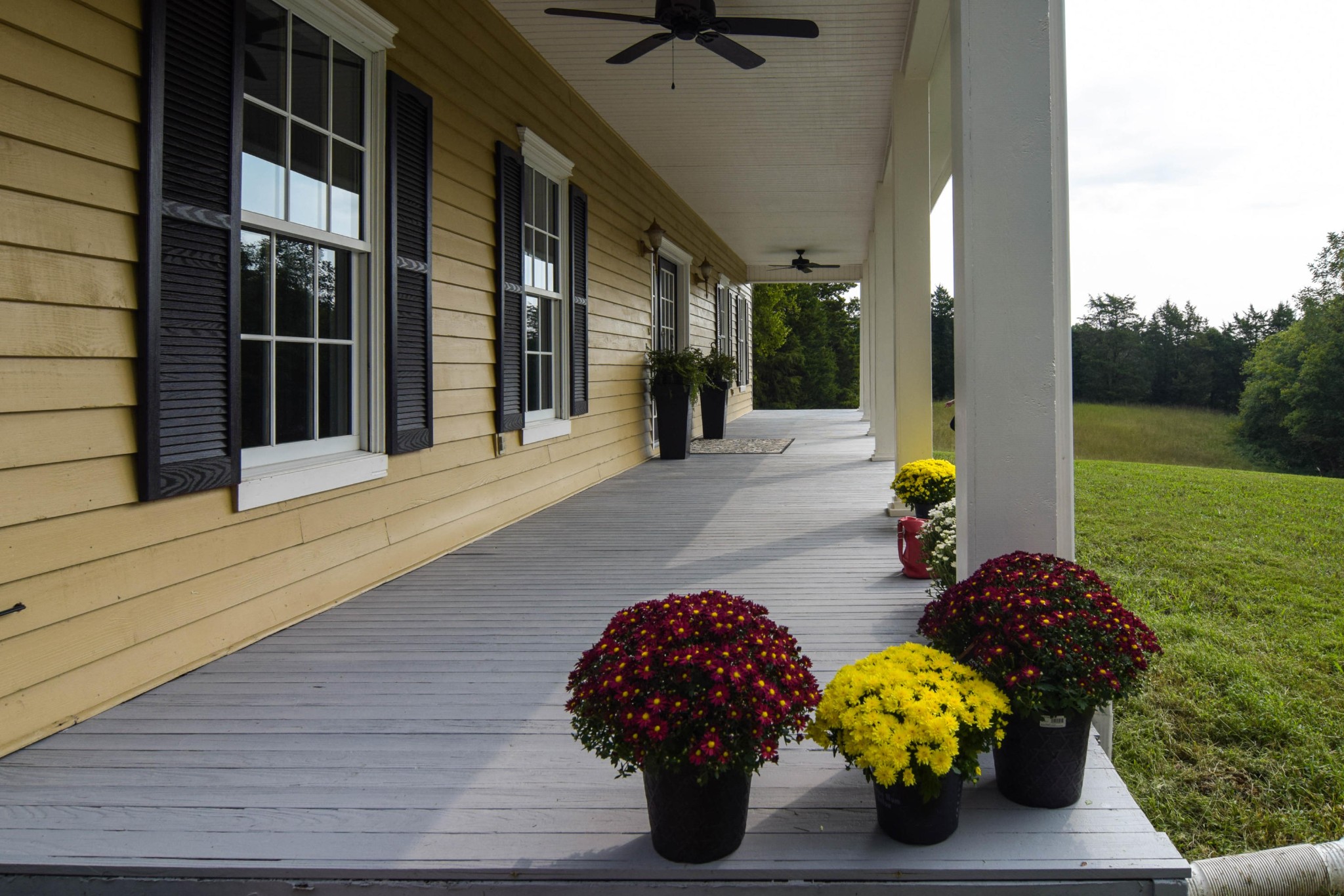 2027 River Road New Market, TN 37820 - Photo 37 of 40