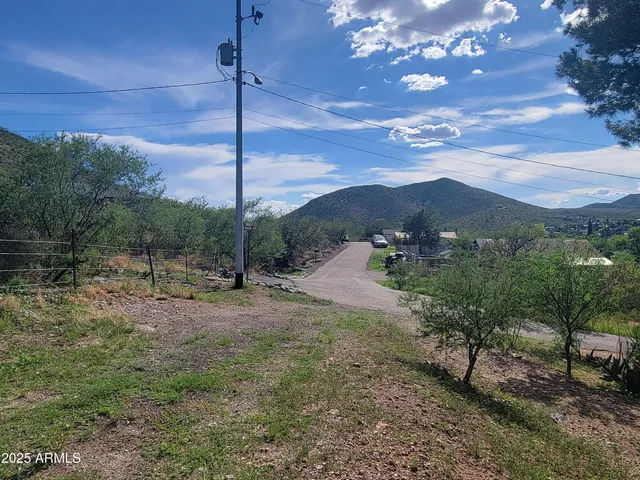 a view of a city with lush green space
