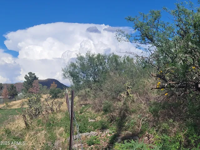 a view of a dry yard