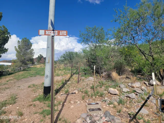 a view of a road with a yard