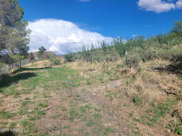 a view of a field with an trees