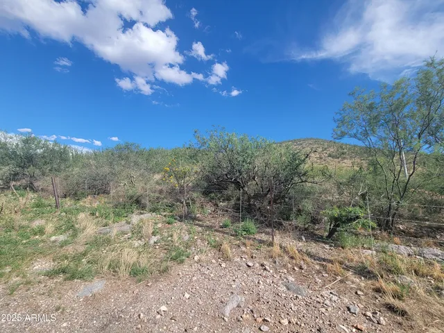 a view of a big yard with lots of green space