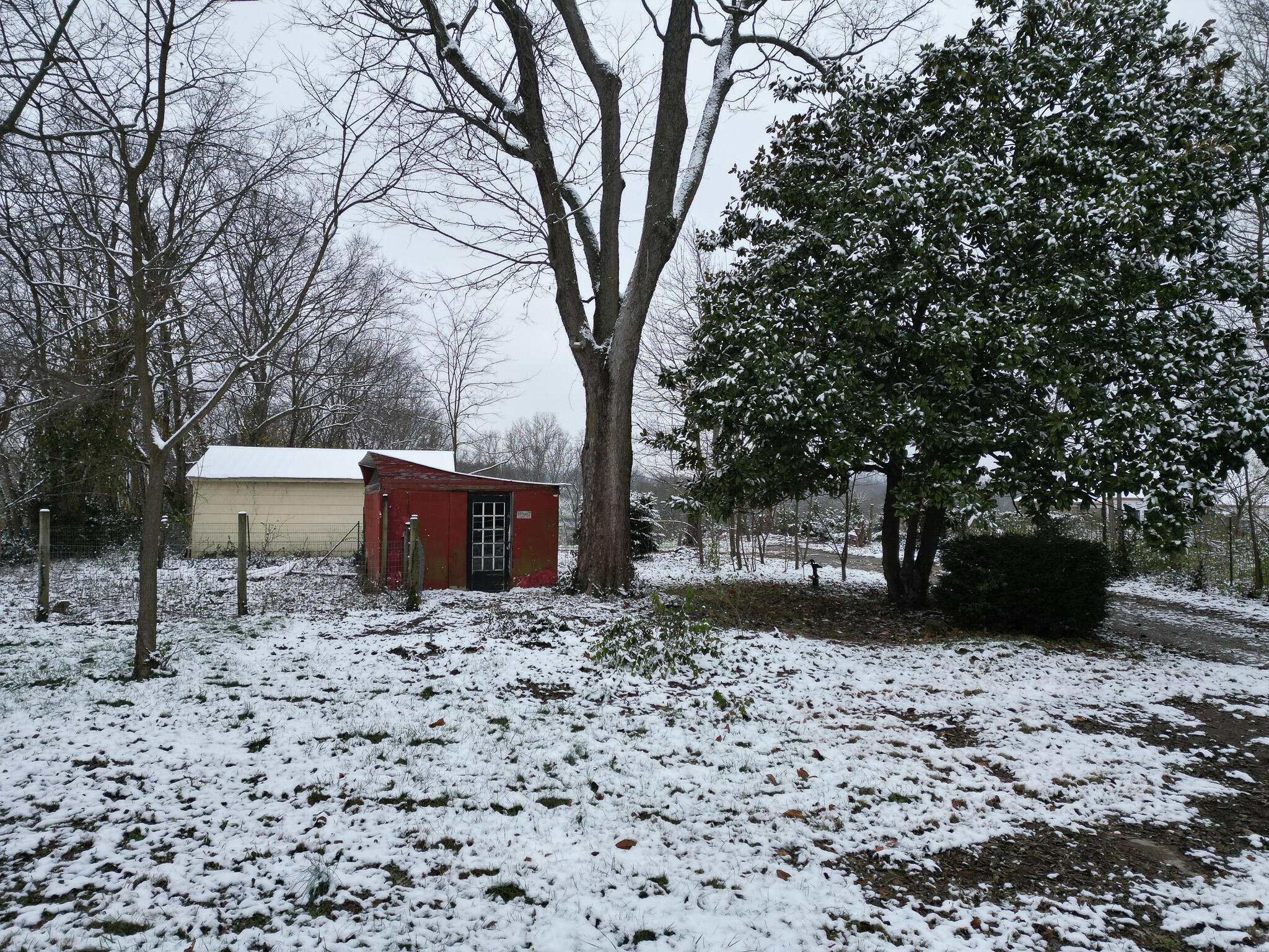 3254 Bracktown Road Lexington, KY 40511 - Photo 36 of 42 shed & garage