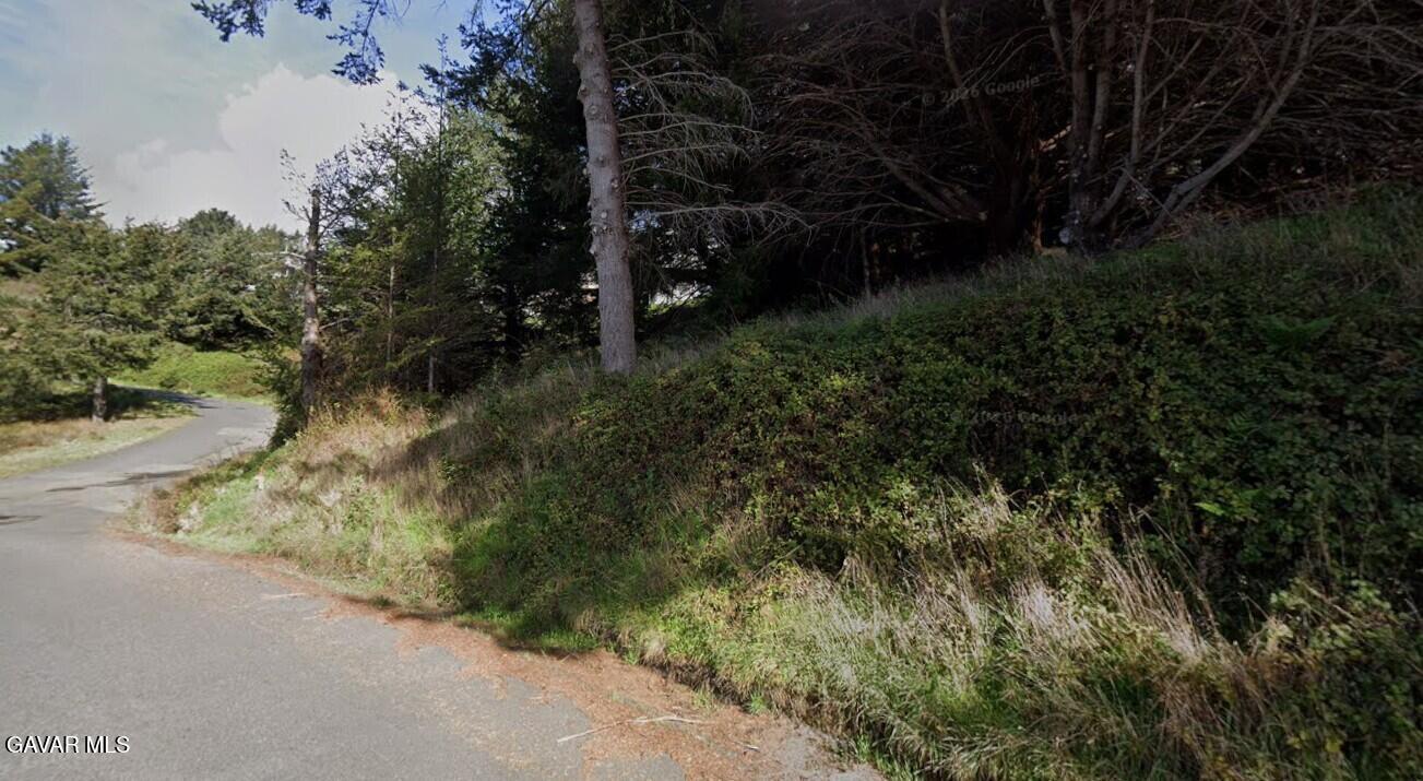 71 Parkview Road Whitethorn, CA 95589 - Photo 3 of 10 a view of a yard with plants and trees