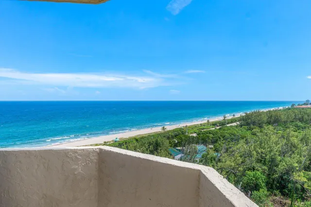 a view of a tennis ground with large trees