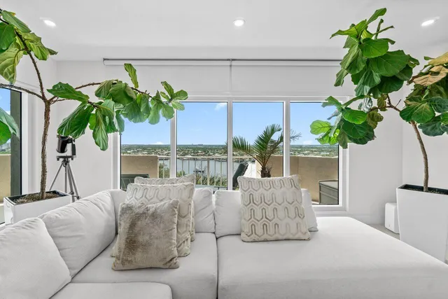 a living room with furniture flowerpot and a potted plant