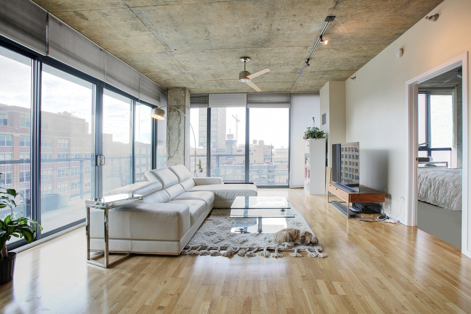 321 South Sangamon Street, Unit 805 Chicago, IL 60607 - Photo 3 of 12