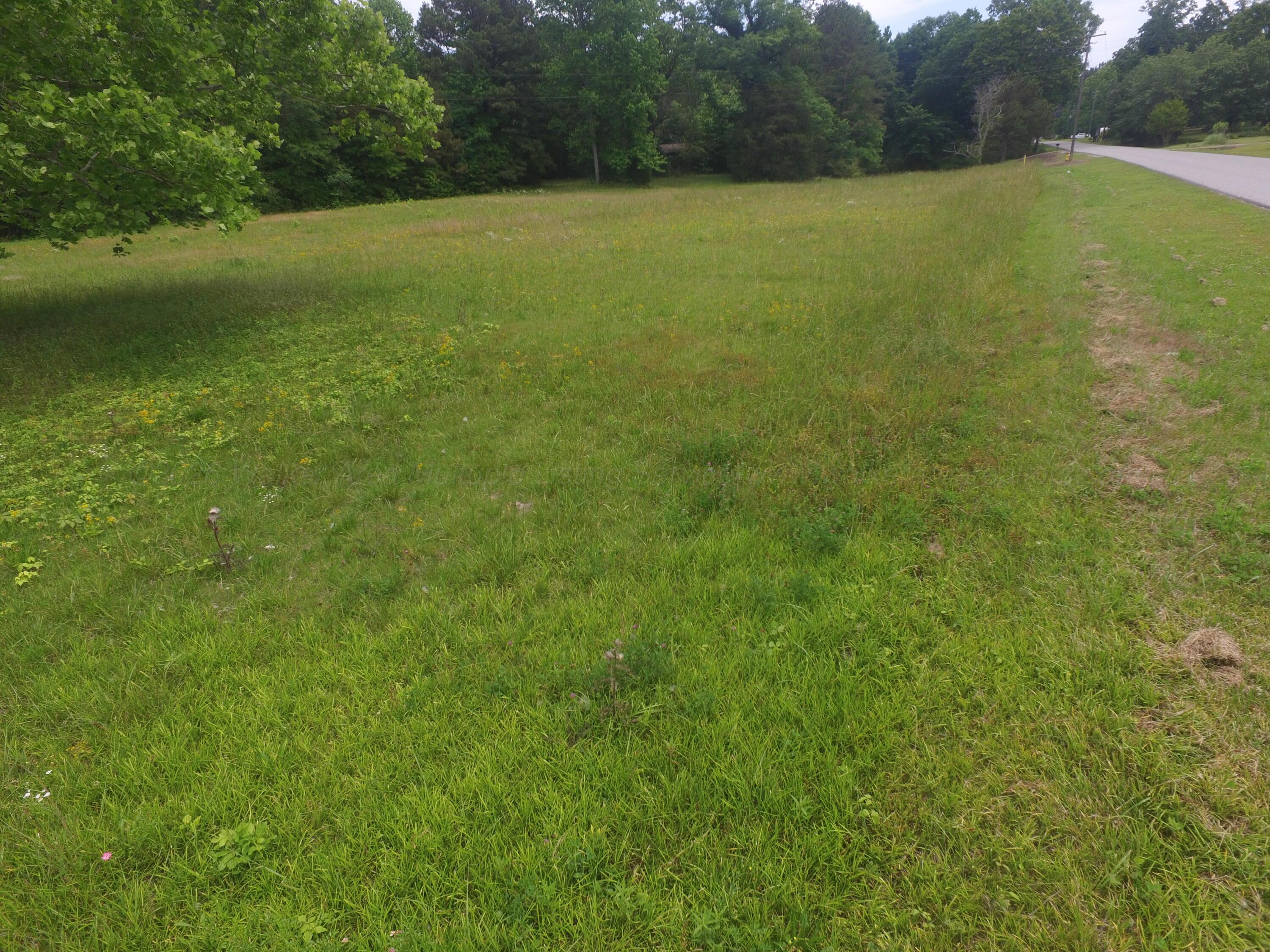 9831 Old Tuscaloosa Road Parrish, AL 35580 - Photo 6 of 9 IMG_8313
