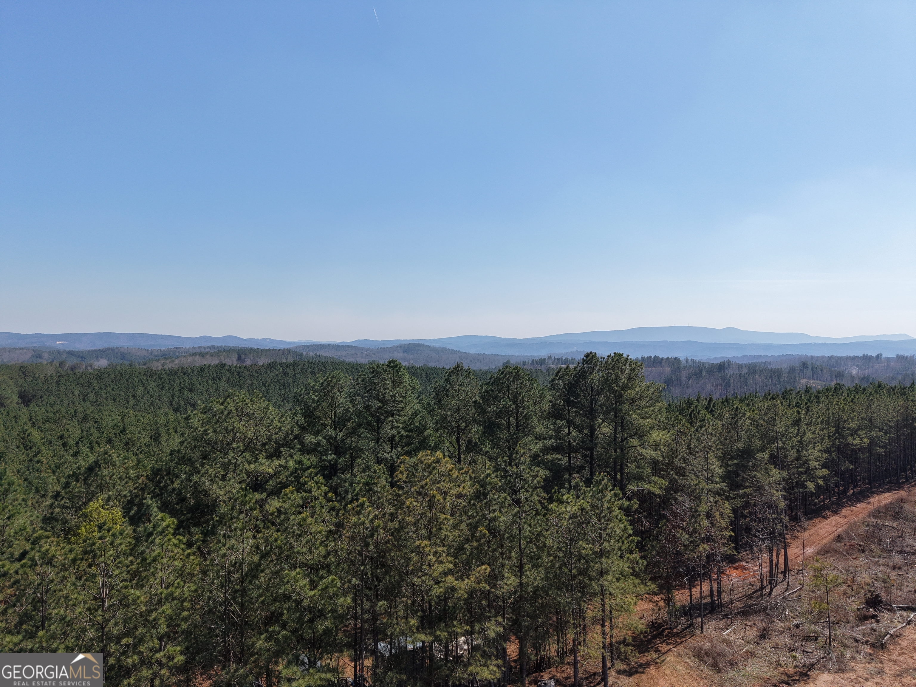 0 Young Loop, Unit 7206 PARCEL A Fairmount, GA 30139 - Photo 13 of 46 a view of a city with lush green forest