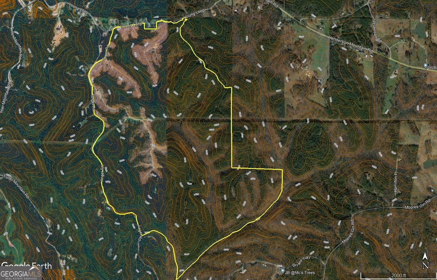 0 Young Loop, Unit 7206 Fairmount, GA 30139 - Photo 3 of 3 10-foot contour interval