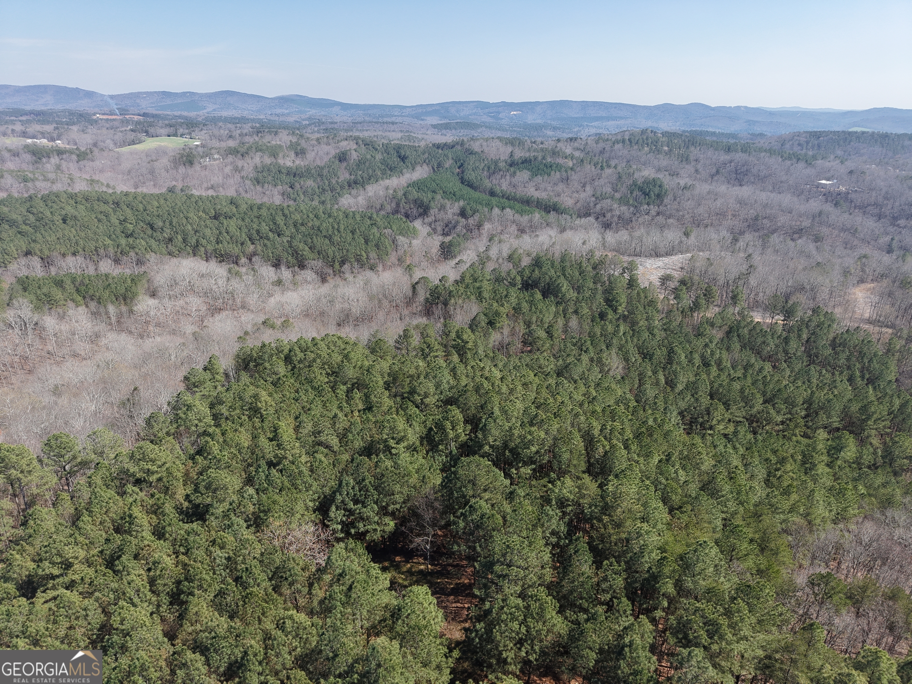 0 Young Loop, Unit 7206 PARCEL A Fairmount, GA 30139 - Photo 37 of 46 an aerial view of forest