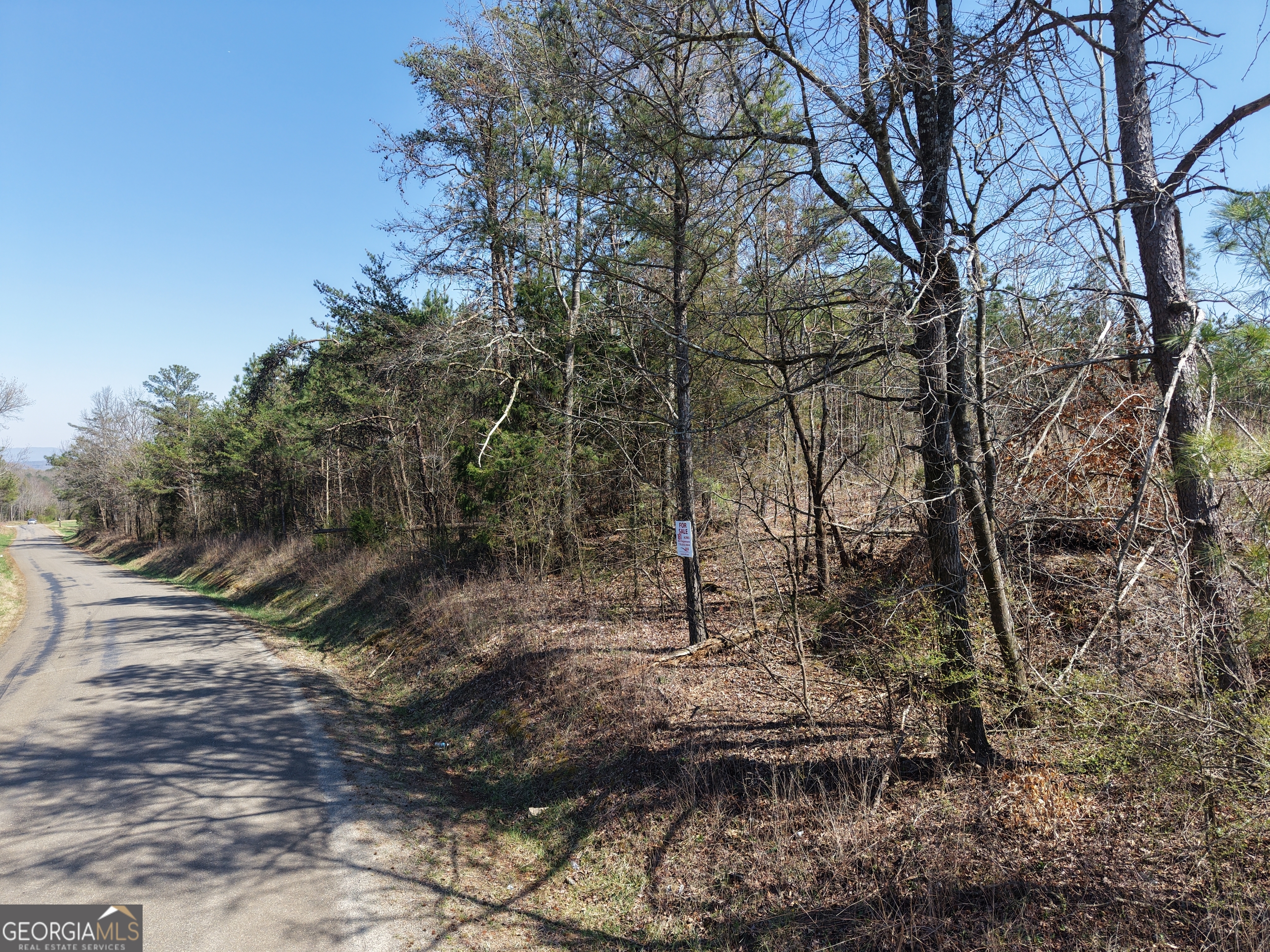 0 Young Loop, Unit 7206 PARCEL A Fairmount, GA 30139 - Photo 6 of 46 a backyard of a house with lots of green space