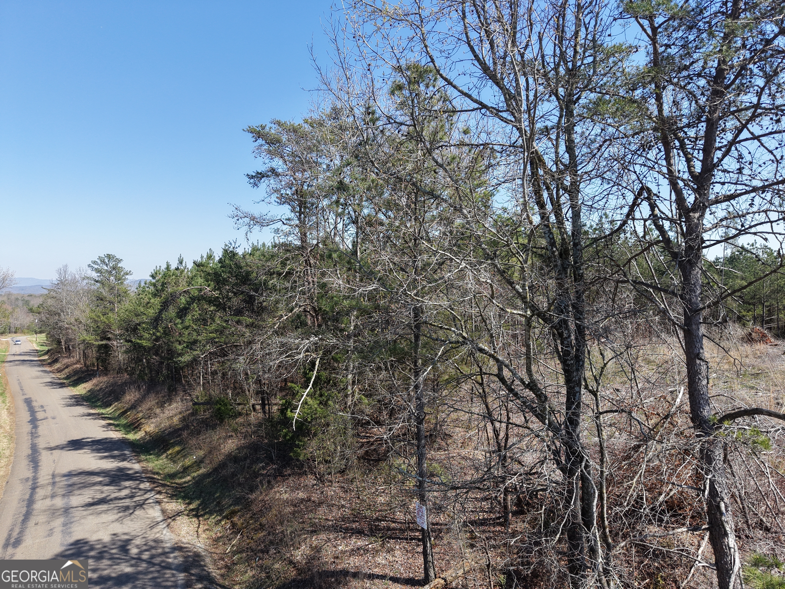 0 Young Loop, Unit 7206 PARCEL A Fairmount, GA 30139 - Photo 7 of 46 a backyard of a house with lots of trees