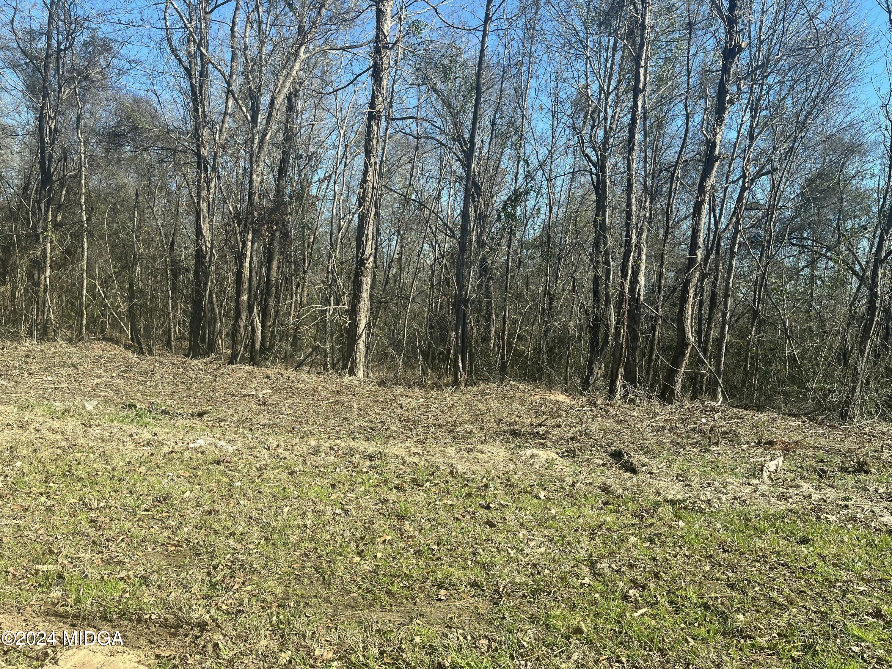 0 Riggins Mills Road Dry Branch, GA 31020 - Photo 1 of 1 a view of a yard with trees