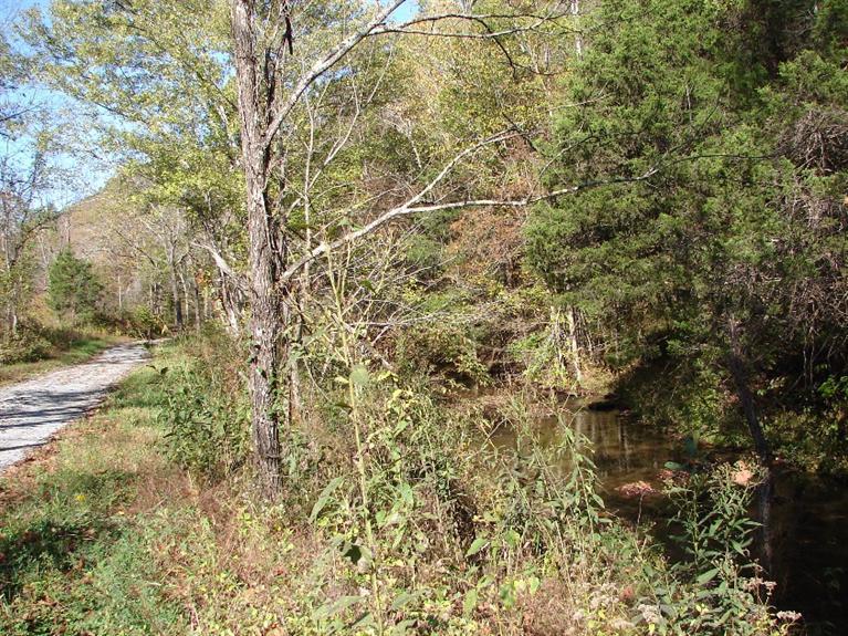 1800 Anderson Road Breeding, KY 42715 - Photo 1 of 7 Gallery Image 1