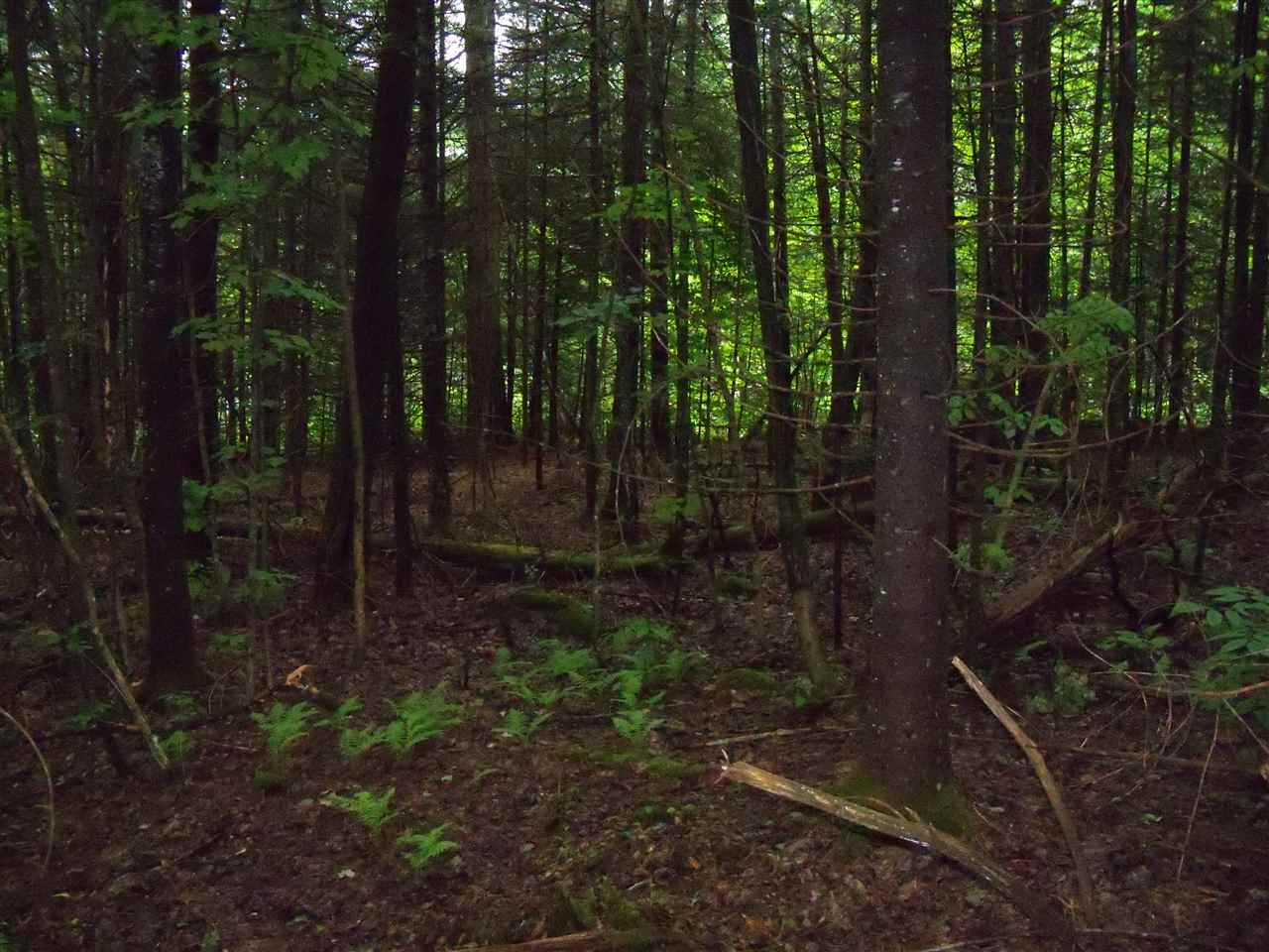0 Horn Of Moon Road Lunenburg, VT 05906 - Photo 1 of 1