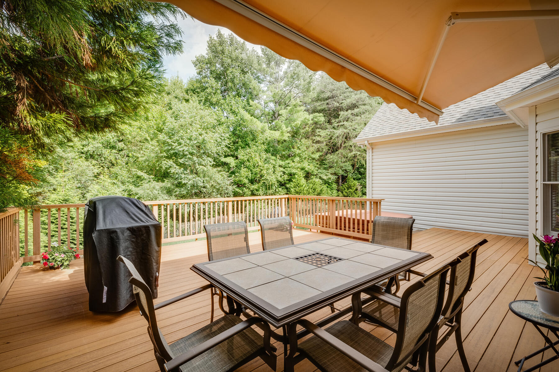 1216 Walnut Grove Road Jonesborough, TN 37659 - Photo 44 of 51 044