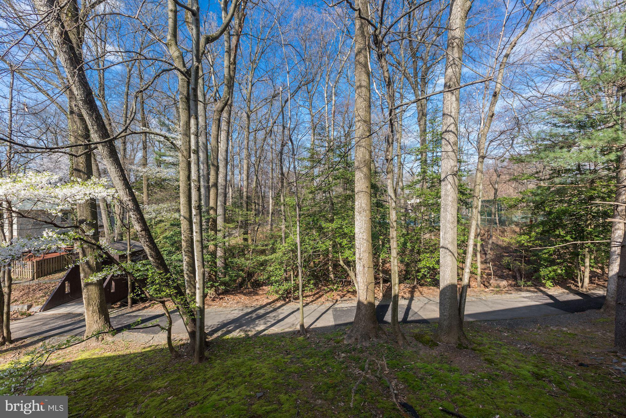1524 Northgate Square, Unit 11B Reston, VA 20190 - Photo 20 of 22 Balcony overlooks trees