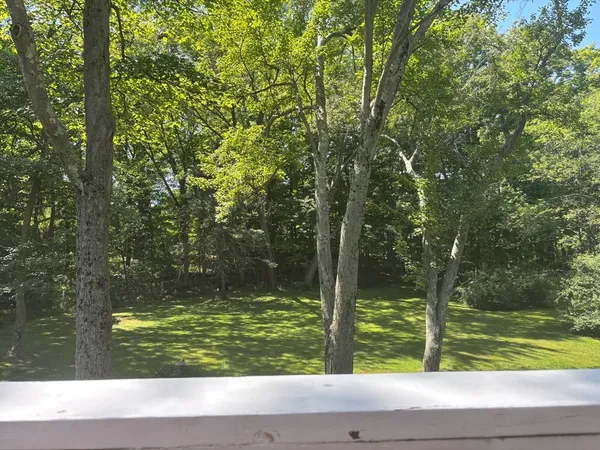 a view of a yard with a tree