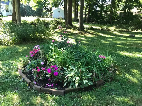 a view of a flower in a garden