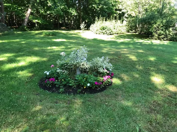 a view of a garden with flowers and trees