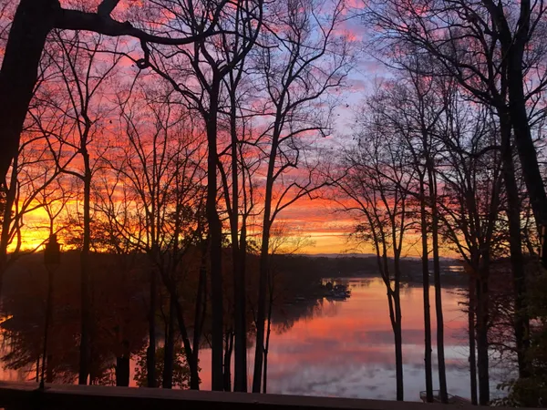 a view of tree in front of a house