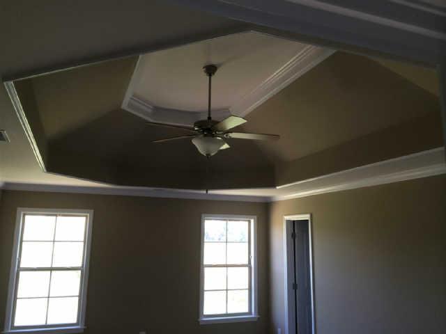 1009 Rudder Drive Spring Hill, TN 37174 - Photo 6 of 17 Master with Tray Ceiling