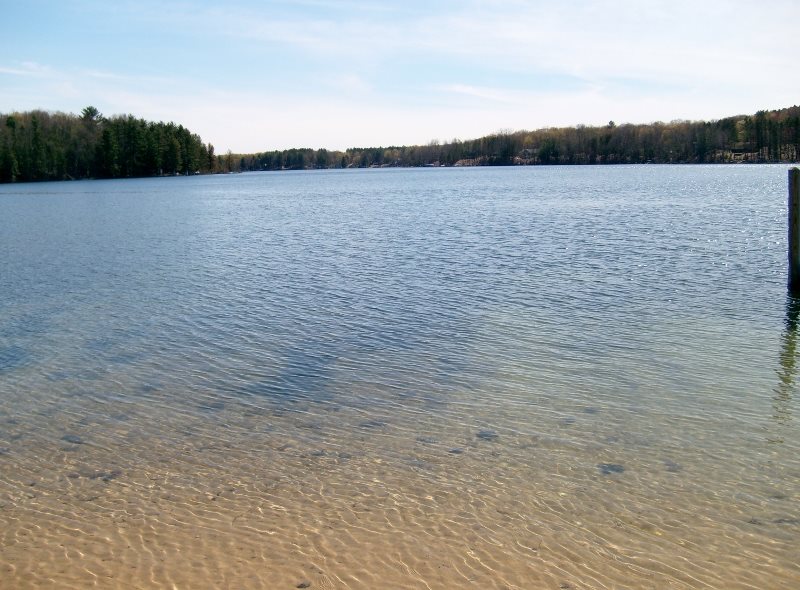 9325 Barnhart Road Mancelona, MI 49659 - Photo 56 of 56 1861146-55.JPG