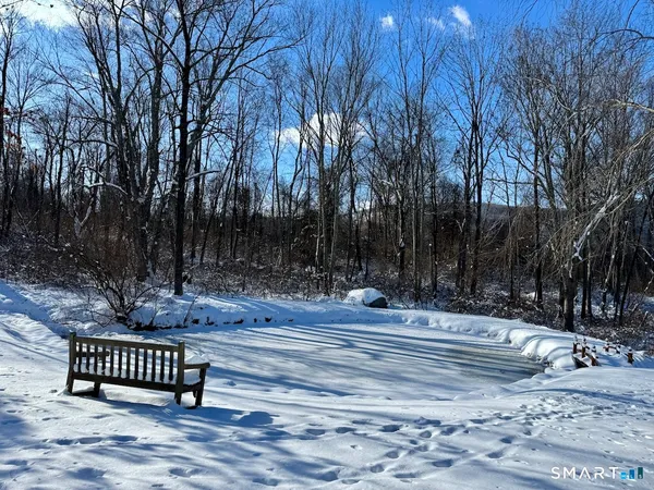 a view of a yard with large trees and wooden fence