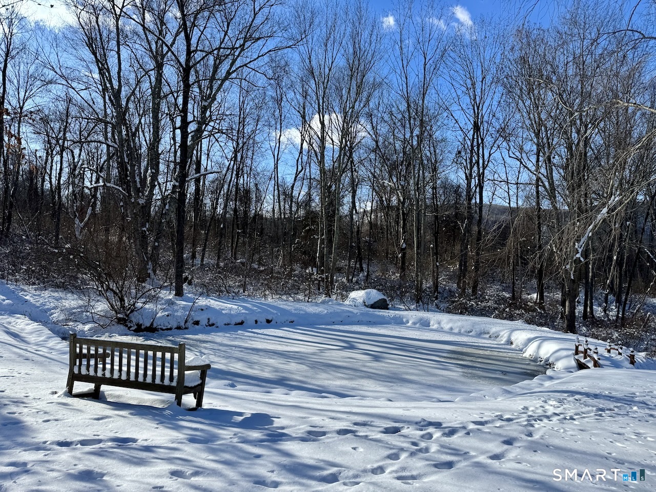 46 Spooner Hill Road Kent, CT 06757 - Photo 42 of 44 a view of a yard with large trees and wooden fence