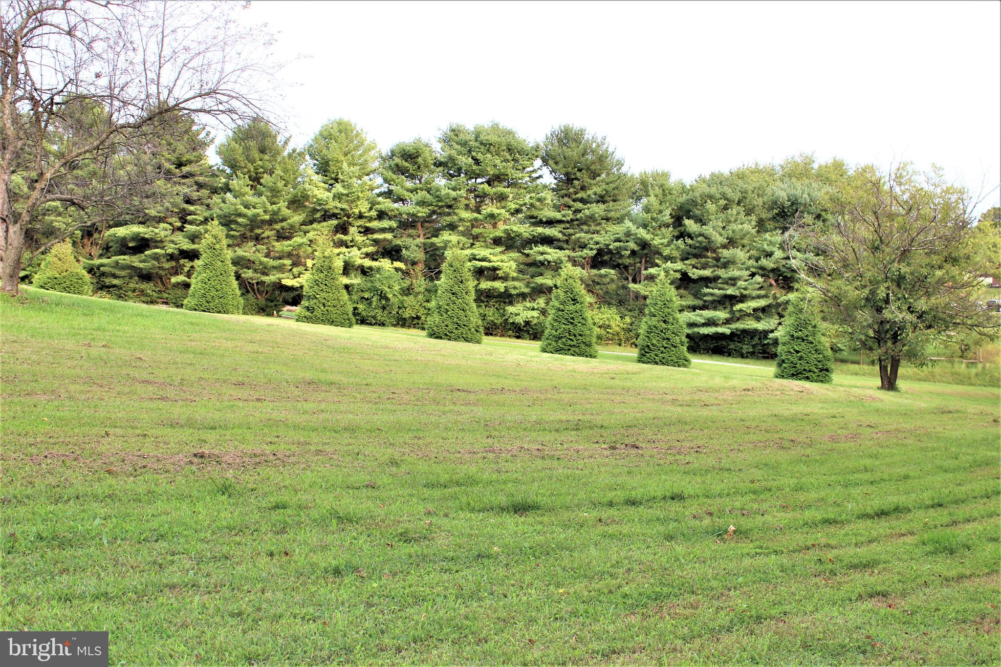 2712 Bachman Road Manchester, MD 21102 - Photo 33 of 45 Exterior
