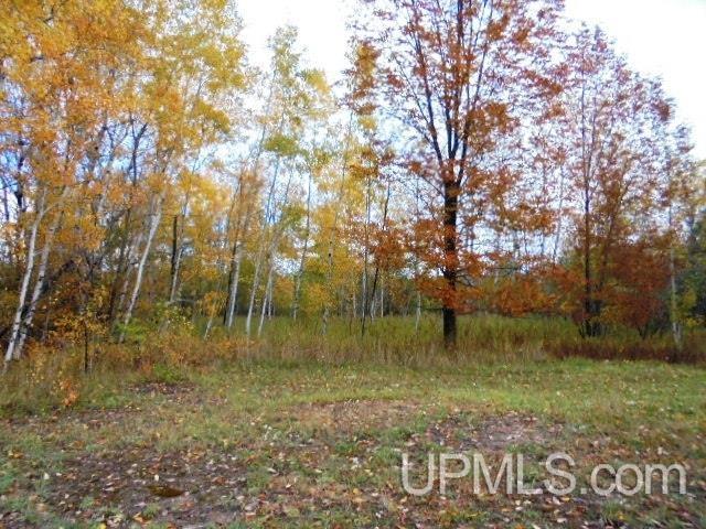 Tbd L P Walsh Road Ontonagon, MI 49953 - Photo 9 of 13