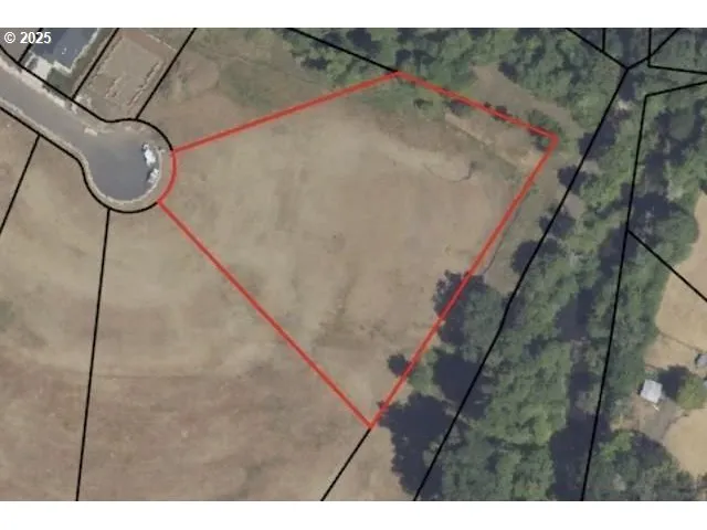 a picture of a small yard