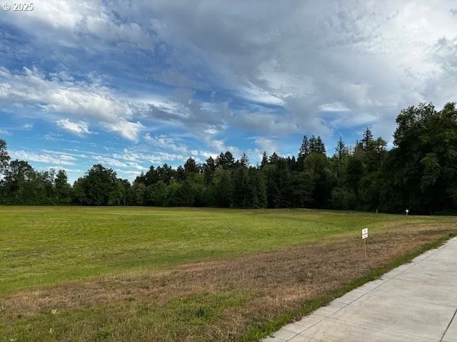 a view of a field with an trees in back