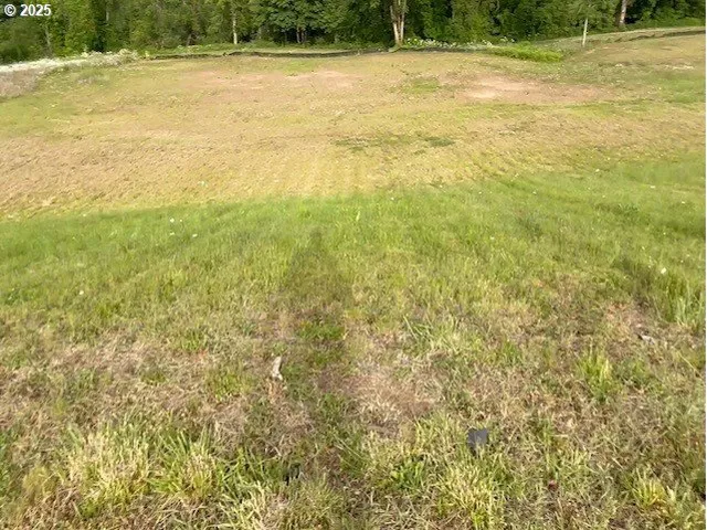 a view of an ocean from a yard
