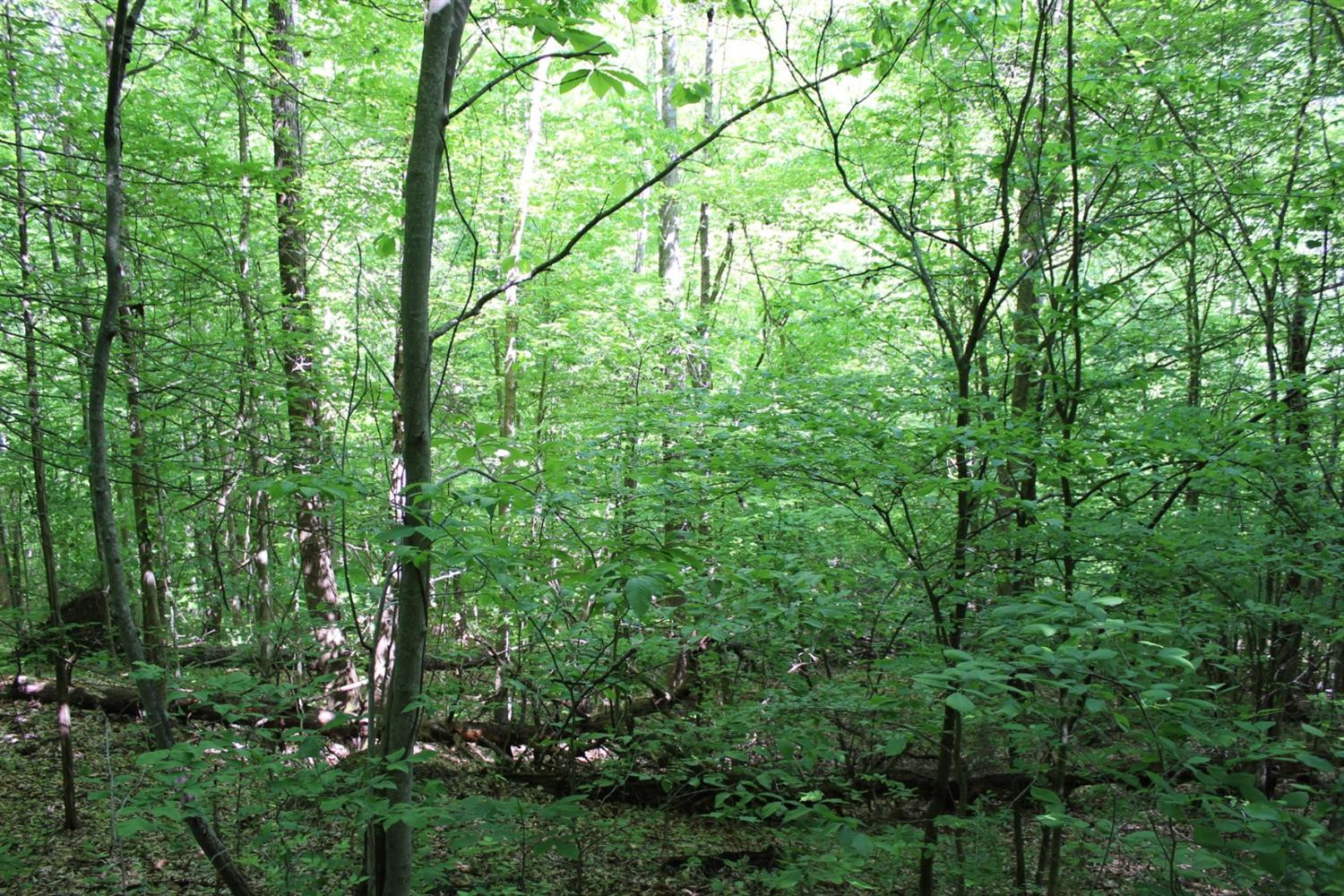 2010 Pryse Road Irvine, KY 40336 - Photo 36 of 56 Photo 36