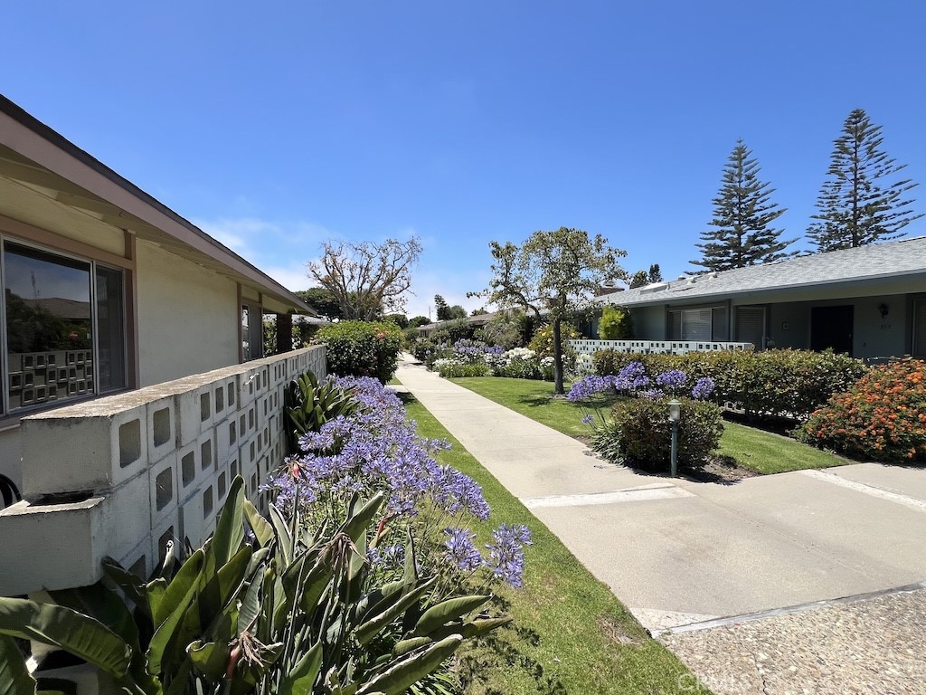 152 East Bowling Green Port Hueneme, CA 93041 - Photo 3 of 33 a view of a backyard with potted plants