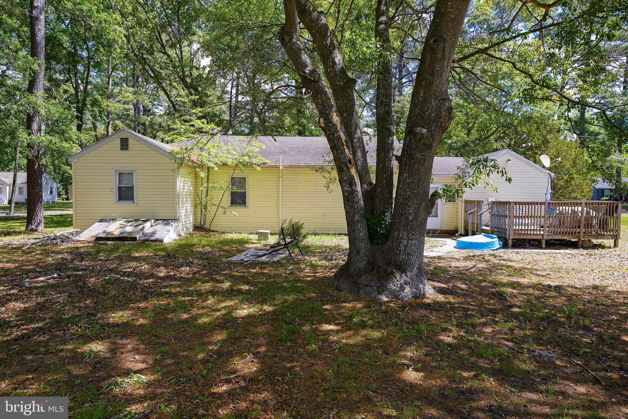 512 Sheldon Avenue Fruitland, MD 21826 - Photo 5 of 54