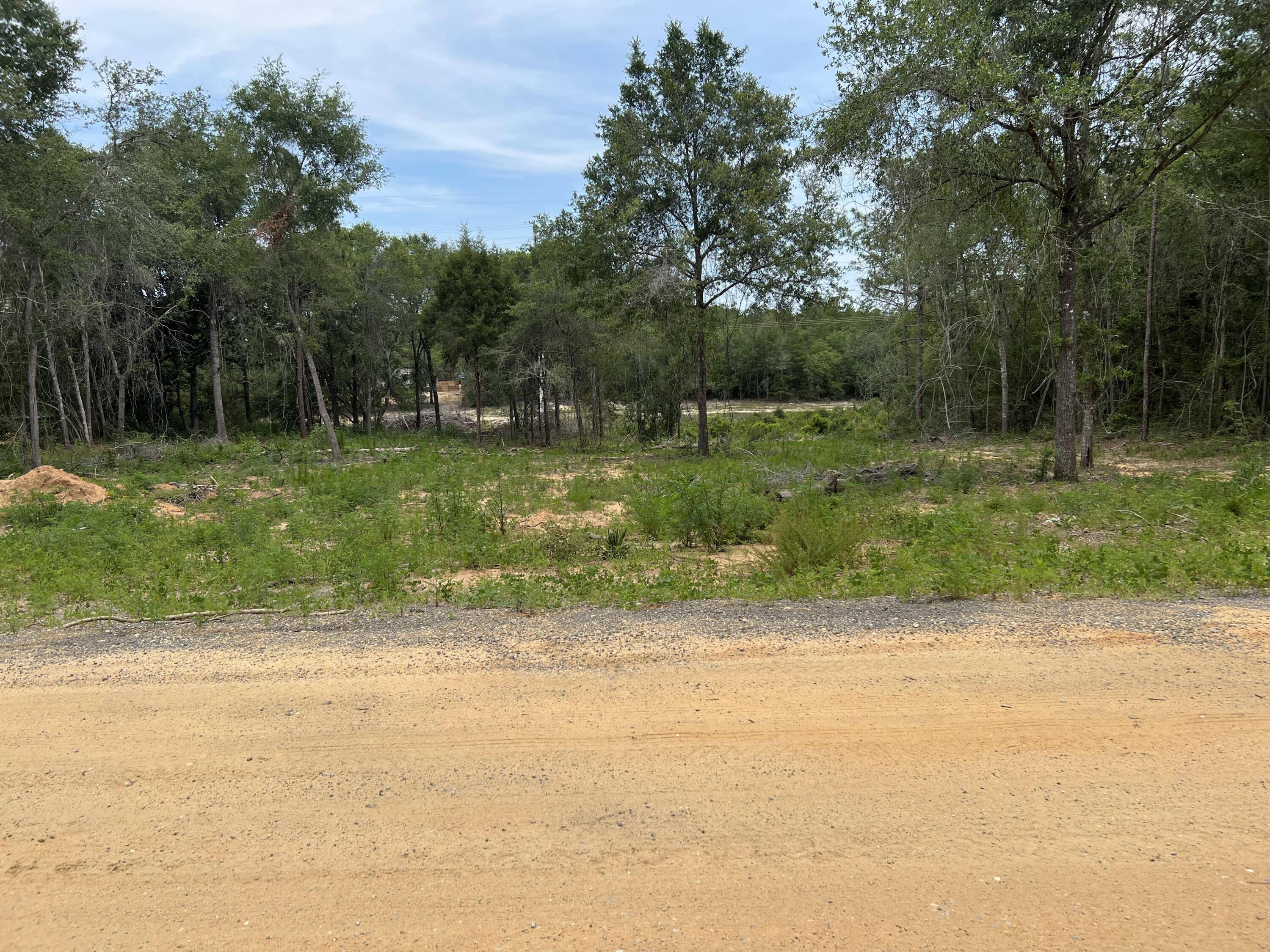 Tbd Double L Road DeFuniak Springs, FL 32433 - Photo 1 of 2 349036940_7132674063416210_1775019665044