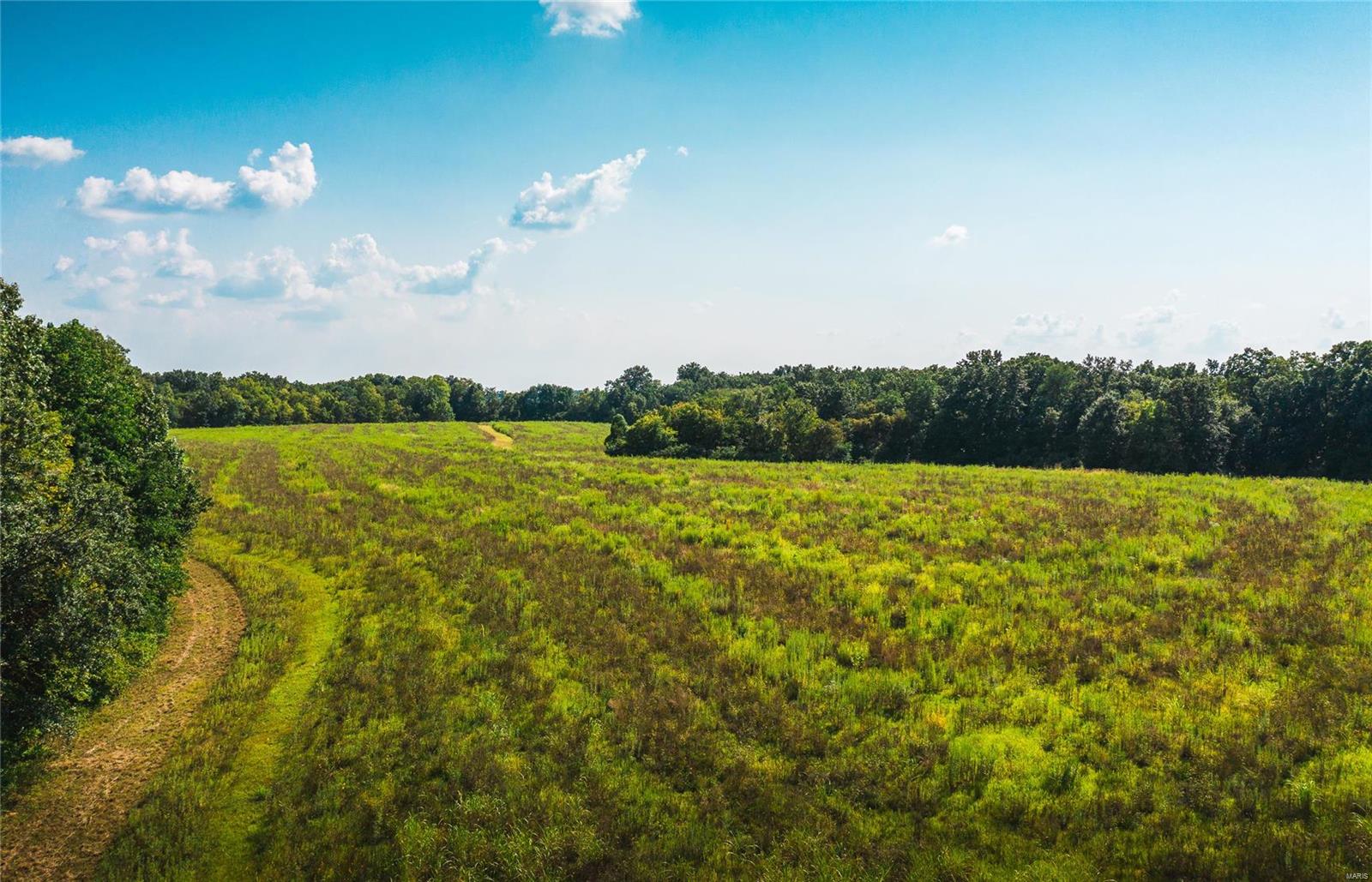 0 West Kane Road Kane, IL 62054 - Photo 3 of 35