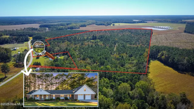 $750,000 | 335 Guinea Town Road, Trenton, NC 28585