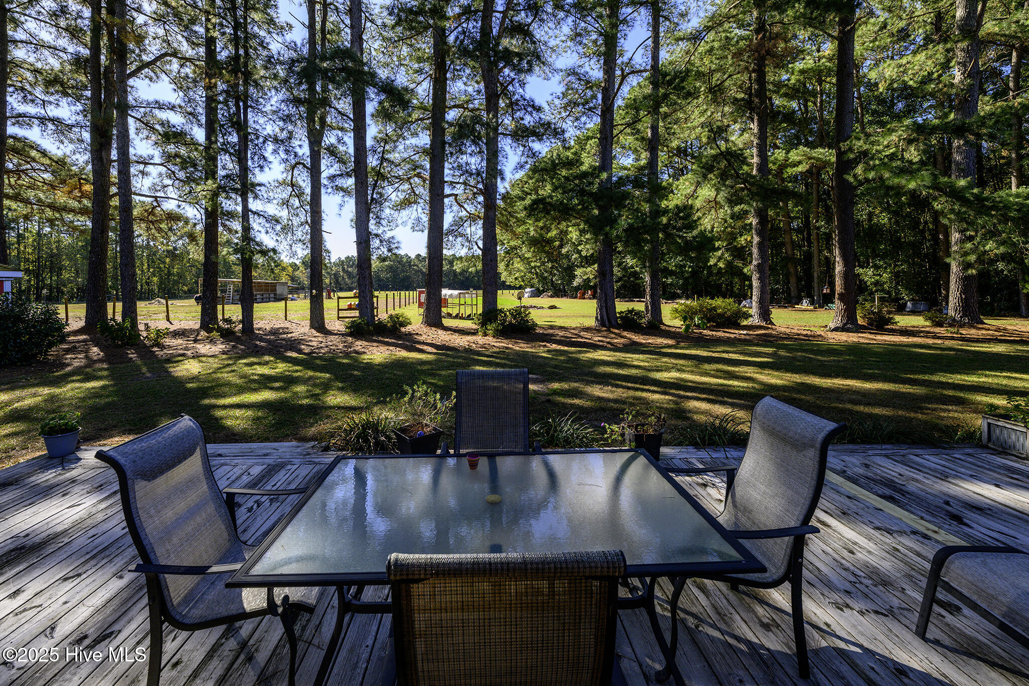 335 Guinea Town Road Trenton, NC 28585 - Photo 48 of 72 Back Deck Views