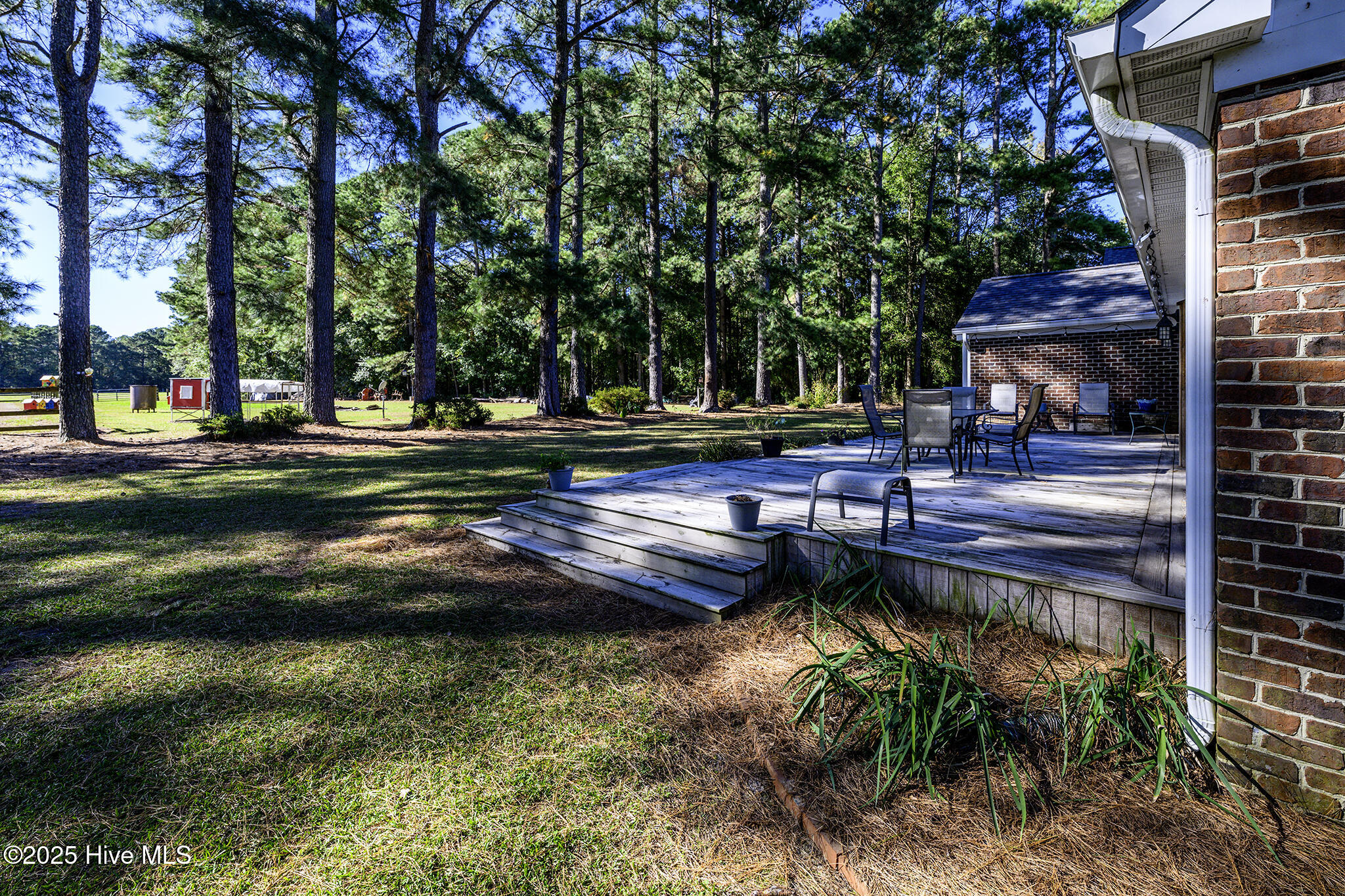 335 Guinea Town Road Trenton, NC 28585 - Photo 49 of 72 Backyard