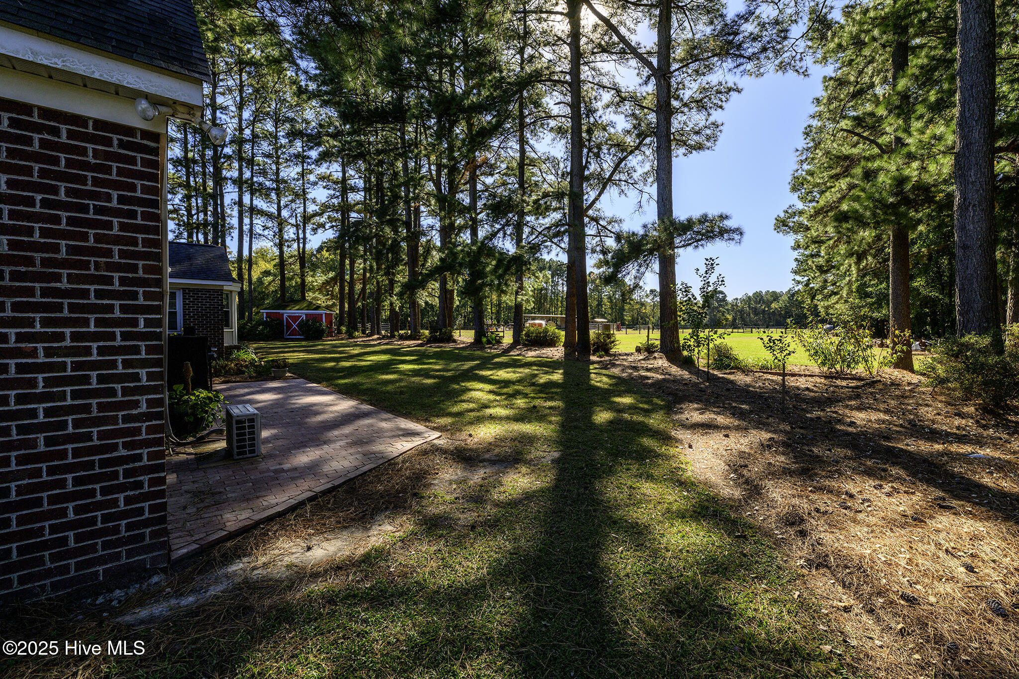 335 Guinea Town Road Trenton, NC 28585 - Photo 50 of 72 Backyard