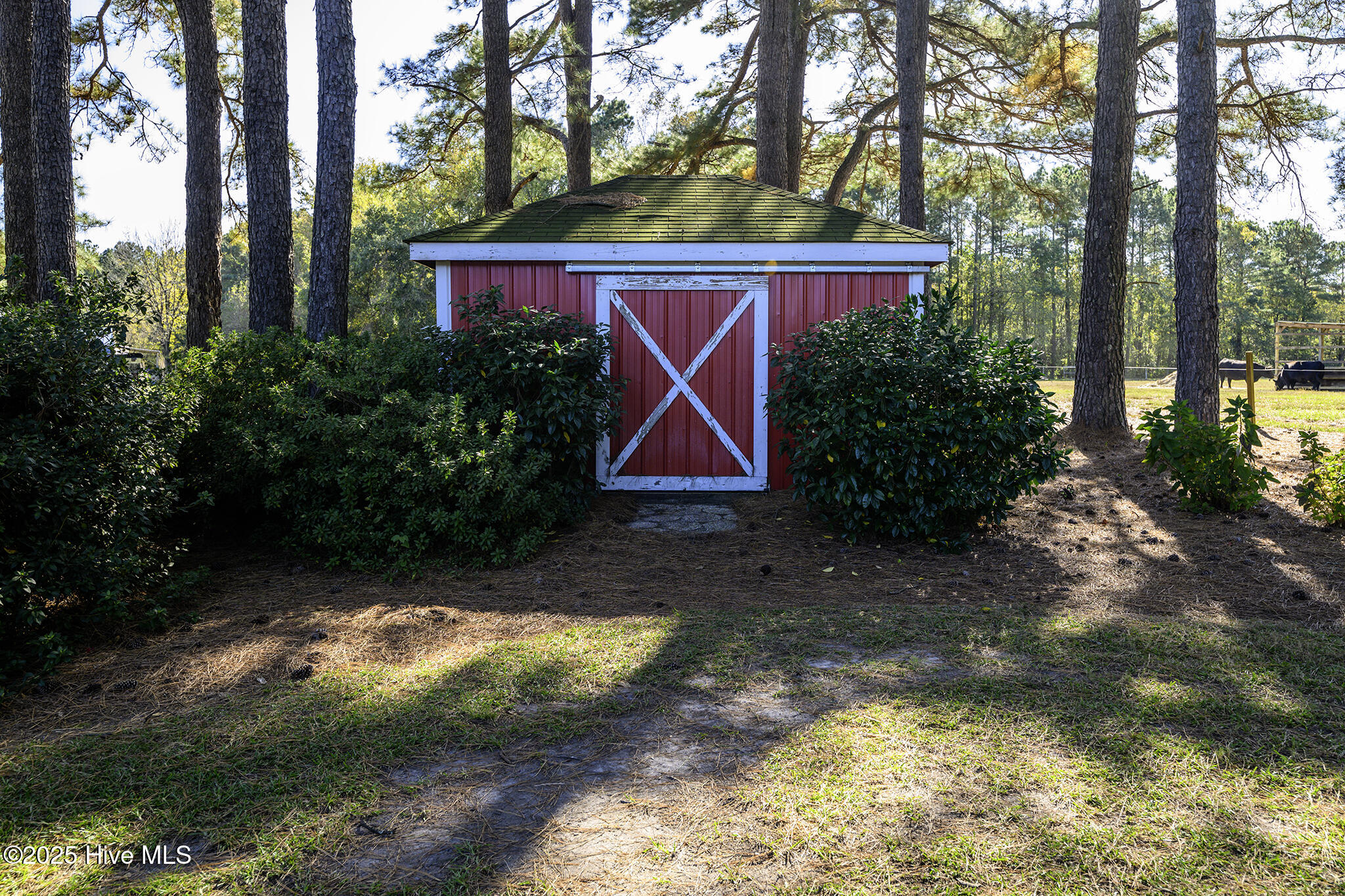 335 Guinea Town Road Trenton, NC 28585 - Photo 56 of 72 Detached Shed
