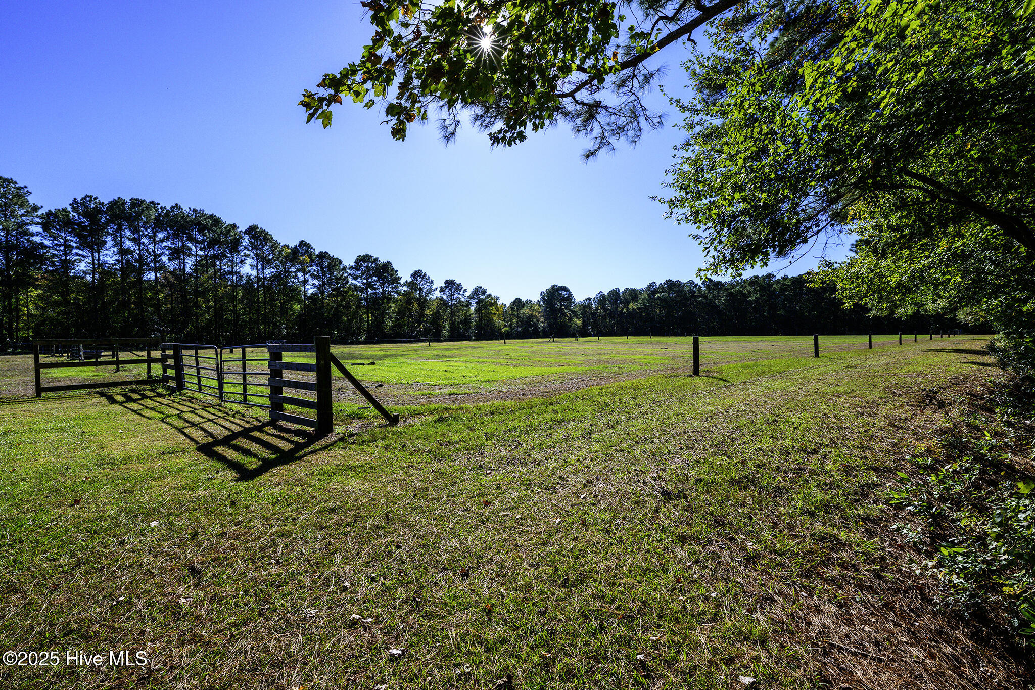 335 Guinea Town Road Trenton, NC 28585 - Photo 60 of 72 Fenced Pasture