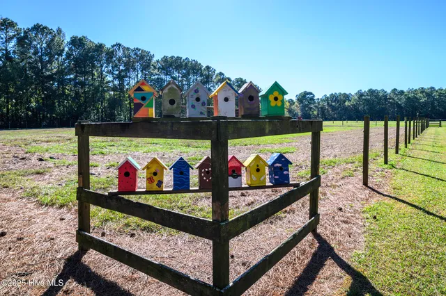 $750,000 | 335 Guinea Town Road, Trenton, NC 28585