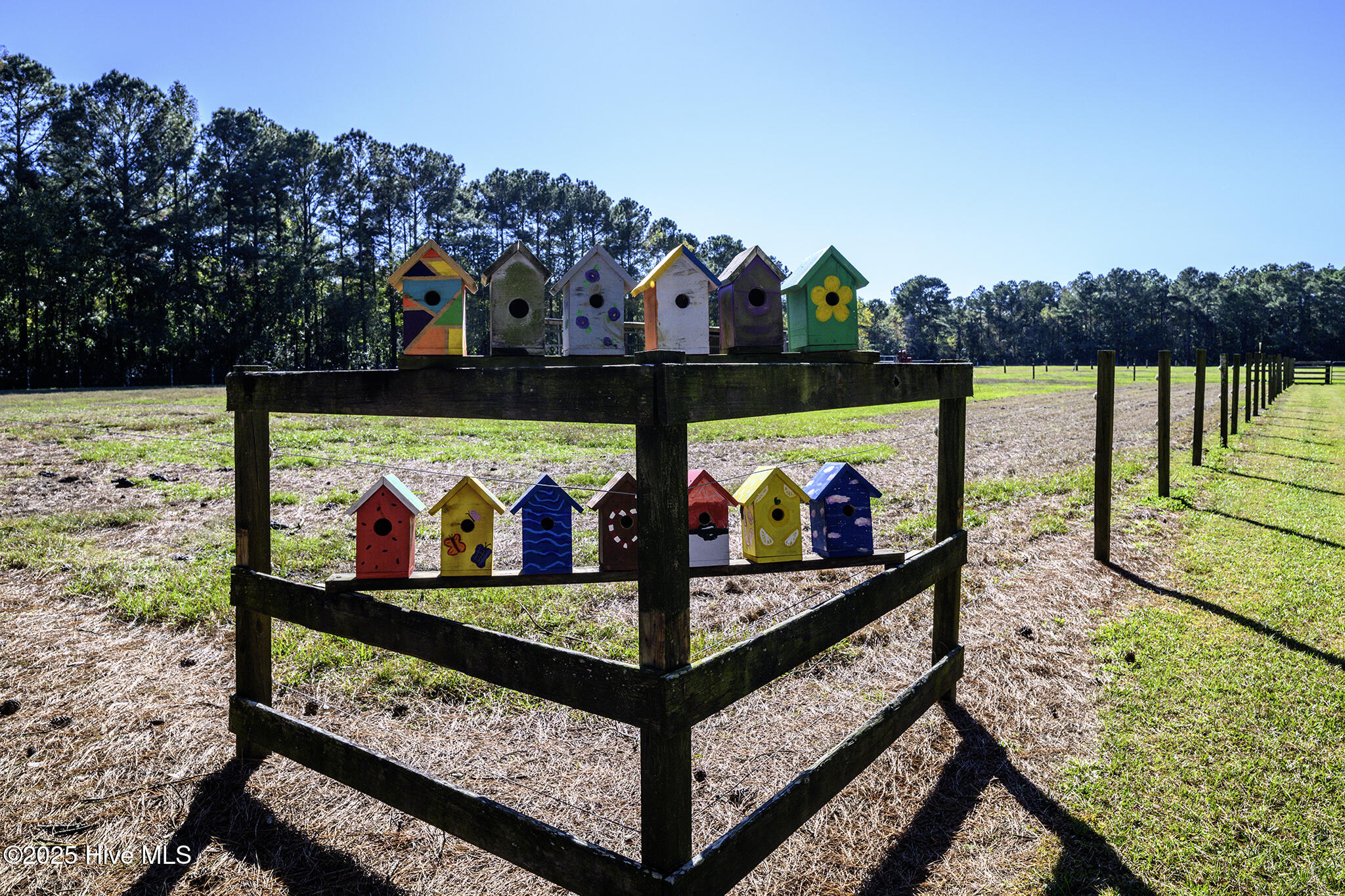 335 Guinea Town Road Trenton, NC 28585 - Photo 61 of 72 Fenced Pasture