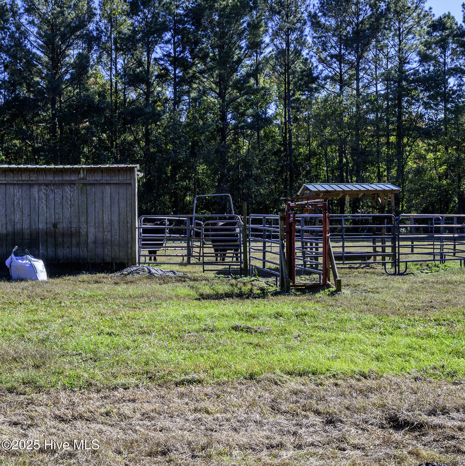 335 Guinea Town Road Trenton, NC 28585 - Photo 62 of 72 Cow/Horse Barn
